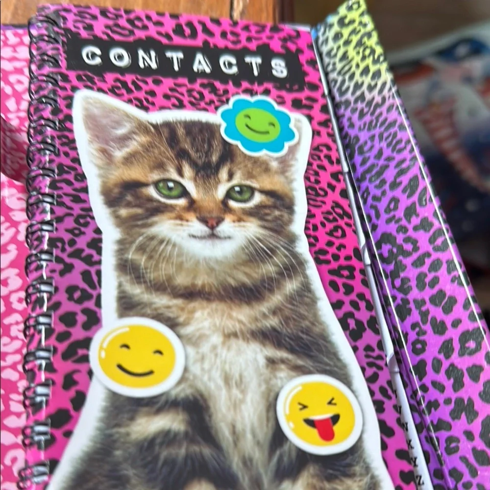 Scholastic Colorful Cat Agenda Notebook